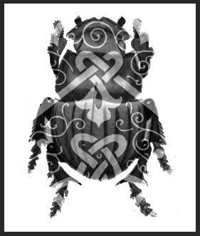 Beetle with a knotted geometric design